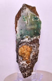 10.6cms ATACAMITE DRUZY CHRYSOCOLLA CHRYSTAL LILY MINE PERU MINERAL DB166