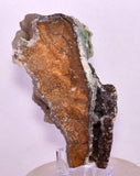 10.6cms ATACAMITE DRUZY CHRYSOCOLLA CHRYSTAL LILY MINE PERU MINERAL DB166