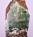 10.6cms ATACAMITE DRUZY CHRYSOCOLLA CHRYSTAL LILY MINE PERU MINERAL DB166