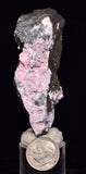 7.3cms RHODOCHROSITE CALCITE CRYSTALS JORDANITE (?) GALENA PERU RB721