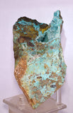 15cms DRUZY CHRYSOCOLLA SELENITE PERU COPPER 2000 DISCOVERY DB168