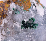 6.8cms DRUZY CHRYSOCOLLA PERU COPPER 2000 DISCOVERY MINERAL DB170