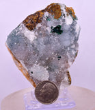 6.8cms DRUZY CHRYSOCOLLA PERU COPPER 2000 DISCOVERY MINERAL DB170