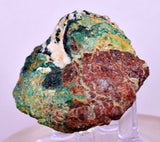 5.5cms GEM ATACAMITE CALCITE MALACHITE CRYSTAL LILY MINE PERU  AB304