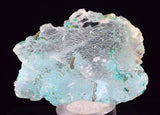 5.7cms GEM INSIDE SELENITE CRYSTAL LILY MINE PERU MINERAL TB218