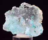 5.7cms GEM INSIDE SELENITE CRYSTAL LILY MINE PERU MINERAL TB218