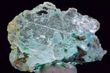 5.7cms GEM INSIDE SELENITE CRYSTAL LILY MINE PERU MINERAL TB218