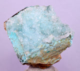 4.8cms DRUZY CHRYSOCOLLA PERU COPPER 2000 DISCOVERY MINERAL DB174