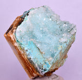 4.8cms DRUZY CHRYSOCOLLA PERU COPPER 2000 DISCOVERY MINERAL DB174