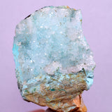 4.8cms DRUZY CHRYSOCOLLA PERU COPPER 2000 DISCOVERY MINERAL DB174