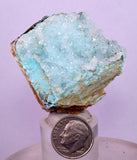 4.8cms DRUZY CHRYSOCOLLA PERU COPPER 2000 DISCOVERY MINERAL DB174
