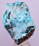 5.6cms DRUZY CHRYSOCOLLA PERU COPPER 2000 DISCOVERY MINERAL DB175