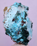 5.6cms DRUZY CHRYSOCOLLA PERU COPPER 2000 DISCOVERY MINERAL DB175