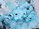 5.6cms DRUZY CHRYSOCOLLA PERU COPPER 2000 DISCOVERY MINERAL DB175