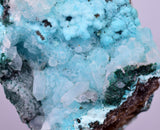 5.6cms DRUZY CHRYSOCOLLA PERU COPPER 2000 DISCOVERY MINERAL DB175