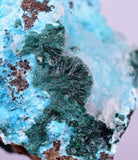 5.6cms DRUZY CHRYSOCOLLA PERU COPPER 2000 DISCOVERY MINERAL DB175