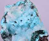 5.6cms DRUZY CHRYSOCOLLA PERU COPPER 2000 DISCOVERY MINERAL DB175