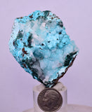 5.6cms DRUZY CHRYSOCOLLA PERU COPPER 2000 DISCOVERY MINERAL DB175