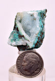 3.3cms DRUZY CHRYSOCOLLA PERU COPPER 2000 DISCOVERY MINERAL DB180