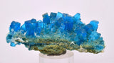 6.8cms NATURAL CHALCANTHITE Peru Copper Botryoidal Crystals Druzy Translucent Electric Blue Shiny Mineral FB105