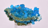 6.8cms NATURAL CHALCANTHITE Peru Copper Botryoidal Crystals Druzy Translucent Electric Blue Shiny Mineral FB105