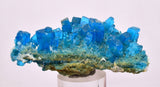 6.8cms NATURAL CHALCANTHITE Peru Copper Botryoidal Crystals Druzy Translucent Electric Blue Shiny Mineral FB105