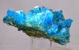 6.8cms NATURAL CHALCANTHITE Peru Copper Botryoidal Crystals Druzy Translucent Electric Blue Shiny Mineral FB105