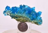 6.8cms NATURAL CHALCANTHITE Peru Copper Botryoidal Crystals Druzy Translucent Electric Blue Shiny Mineral FB105