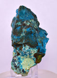 7.1cms DRUZY CHRYSOCOLLA PERU COPPER 2000 DISCOVERY MINERAL DB190