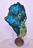 7.1cms DRUZY CHRYSOCOLLA PERU COPPER 2000 DISCOVERY MINERAL DB190