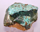 10cms DRUZY CHRYSOCOLLA PERU COPPER 2000 DISCOVERY MINERAL DB191