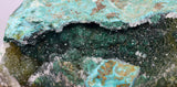 10cms DRUZY CHRYSOCOLLA PERU COPPER 2000 DISCOVERY MINERAL DB191