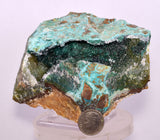10cms DRUZY CHRYSOCOLLA PERU COPPER 2000 DISCOVERY MINERAL DB191