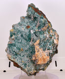 21cms DRUZY CHRYSOCOLLA PERU COPPER 2000 DISCOVERY MINERAL DB192