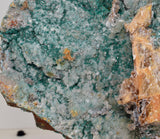 21cms DRUZY CHRYSOCOLLA PERU COPPER 2000 DISCOVERY MINERAL DB192