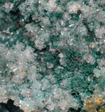 21cms DRUZY CHRYSOCOLLA PERU COPPER 2000 DISCOVERY MINERAL DB192