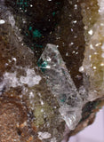 6.7cms DRUZY CHRYSOCOLLA PERU LILY MINE COPPER 2000 DISCOVERY  DB195
