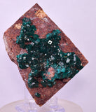 6.9cms DIOPTASE CRYSTALS CONGO EMERALD COLOR MINERAL SPECIMEN KB176