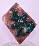 6.9cms DIOPTASE CRYSTALS CONGO EMERALD COLOR MINERAL SPECIMEN KB176