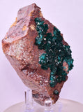 6.9cms DIOPTASE CRYSTALS CONGO EMERALD COLOR MINERAL SPECIMEN KB176
