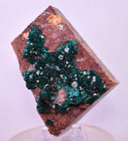 6.9cms DIOPTASE CRYSTALS CONGO EMERALD COLOR MINERAL SPECIMEN KB176