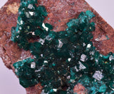 6.9cms DIOPTASE CRYSTALS CONGO EMERALD COLOR MINERAL SPECIMEN KB176