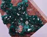 6.9cms DIOPTASE CRYSTALS CONGO EMERALD COLOR MINERAL SPECIMEN KB176