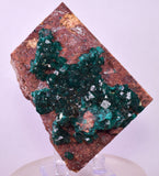 6.9cms DIOPTASE CRYSTALS CONGO EMERALD COLOR MINERAL SPECIMEN KB176