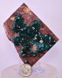 6.9cms DIOPTASE CRYSTALS CONGO EMERALD COLOR MINERAL SPECIMEN KB176