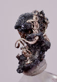 0.7cms NATIVE SILVER WIRE PERU UCHUCCHACUA MINE MINERAL SPECIMEN HB331