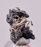 0.7cms NATIVE SILVER WIRE PERU UCHUCCHACUA MINE MINERAL SPECIMEN HB331