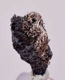 1.2cms NATIVE SILVER WIRE PERU UCHUCCHACUA MINE MINERAL SPECIMEN HB332