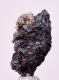 1.2cms NATIVE SILVER WIRE PERU UCHUCCHACUA MINE MINERAL SPECIMEN HB332