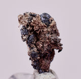 1cms NATIVE SILVER WIRE PERU UCHUCCHACUA MINE MINERAL SPECIMEN HB333